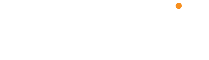Palmedic-logo-tailor-made-solutions-wit